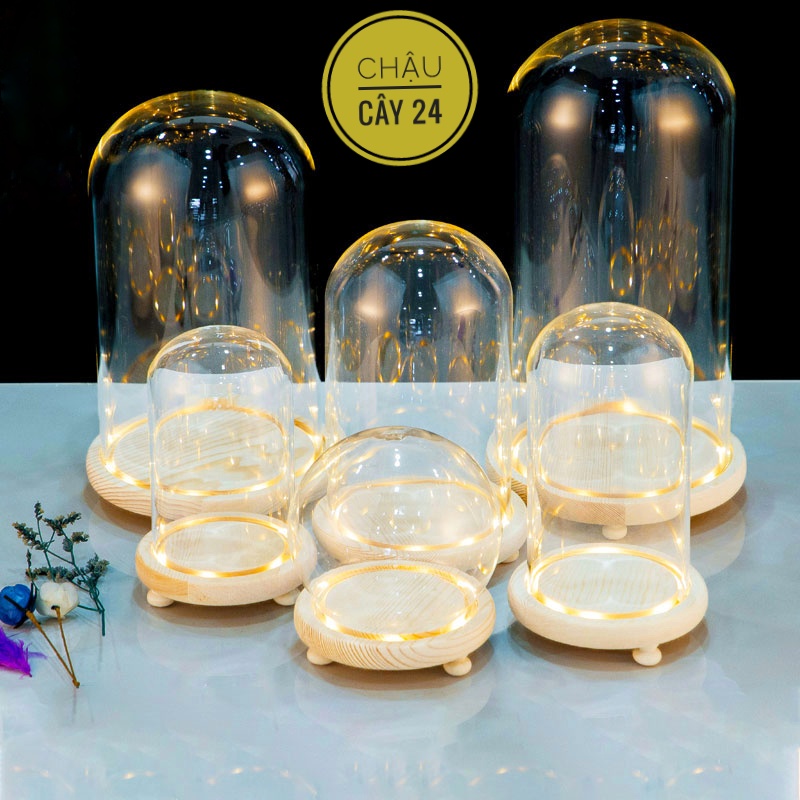 Chụp Thủy Tinh Đế Gỗ (Có đèn LED) nhiều kích thước trang trí tiểu cảnh để bàn, nến thơm, quà tặng handmade