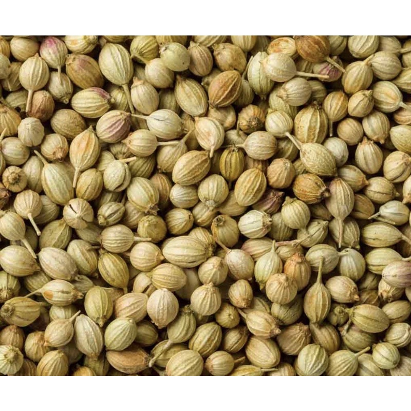 Hạt ngò - hạt mùi khô gói lẻ 100gr/200gr/500gr/1kg