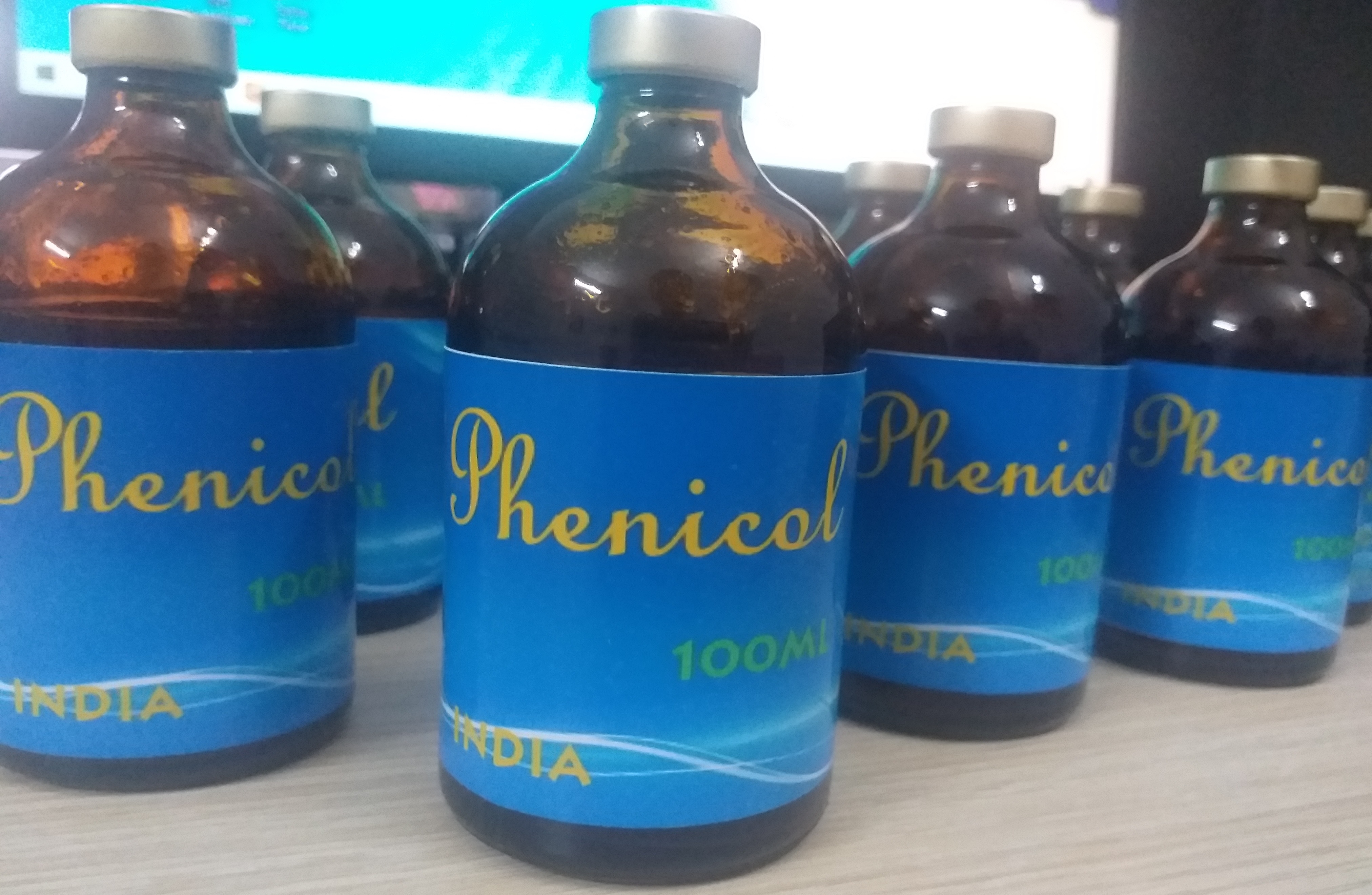 Phenicol: Phòng và chữa trị nhiễm khuẩn gan thận mủ hoại tử gan tụy bệnh đường ruột mòn phụ bộ ở tôm cá chai 100ml