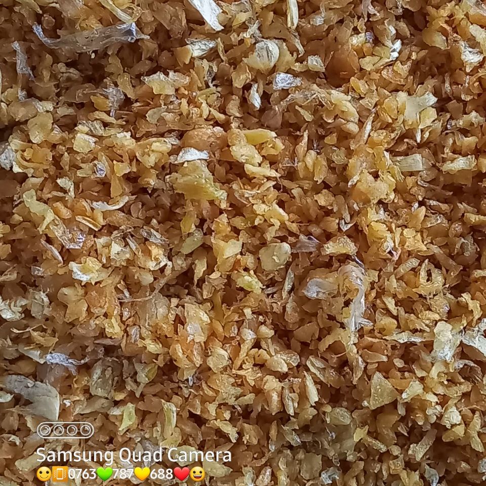 Tỏi phi vàng, tỏi ta, tỏi bắc, tỏi trồng tại hải dương