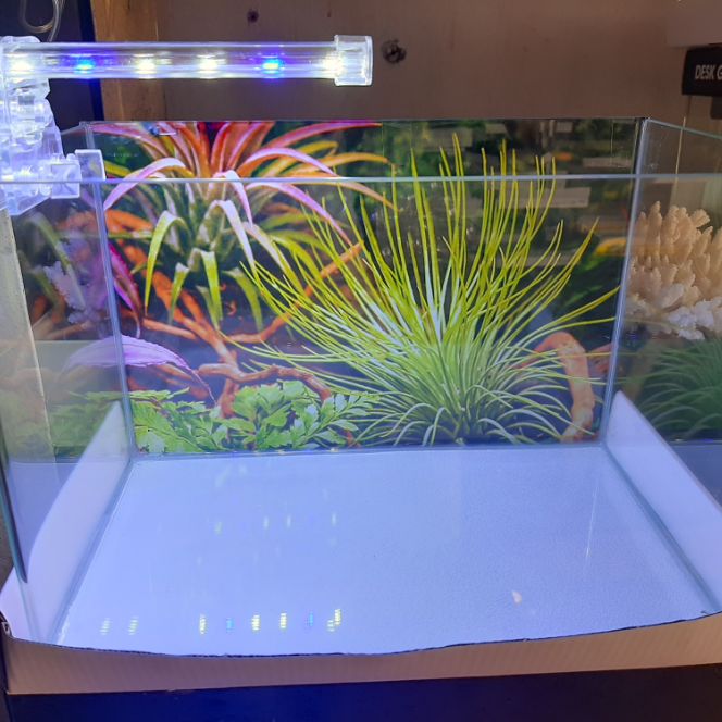 Đèn led kẹp mini tiết kiệm điện dành cho hồ cá, bể cá, thủy sinh, cảnh giả