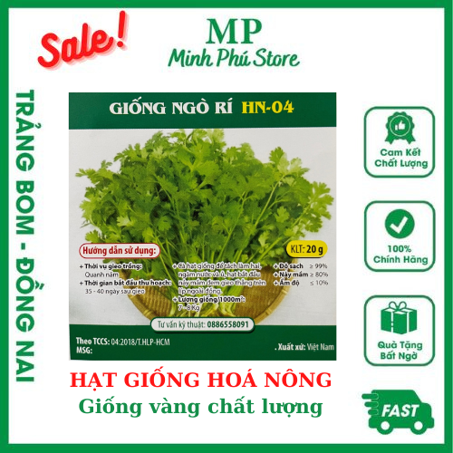 Giống Ngò Rí Hn04 - 20G - Hạt Giống Hoá Nông Chịu Nhiệt, Trồng Quanh Năm, Nảy Mầm Tốt, Năng Suất Cao