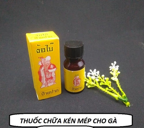 THU.ỐC MÉP ÔNG GIÀ ( GÀ SÓI BỘI , XƯỚT MỎ MÉP, GÃY CỰA , XƯỚT MÓNG )---- CHÍNH HÃNG THÁI LAN