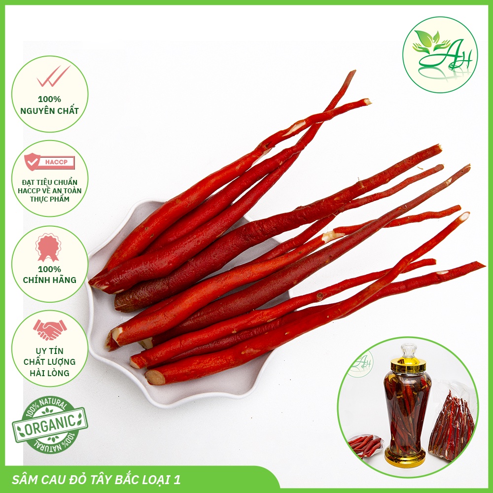 Sâm cau đỏ tươi hàng to đẹp đã làm sạch hút chân không 1KG