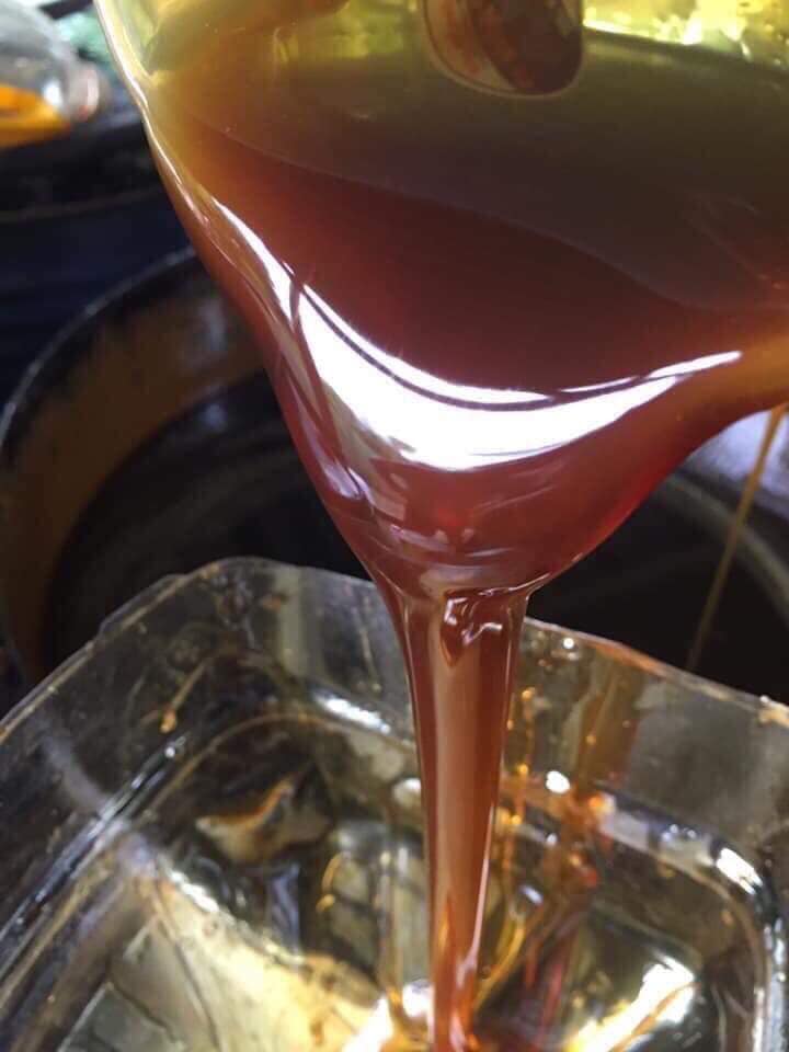 Mật mía nguyên chất Nghệ An