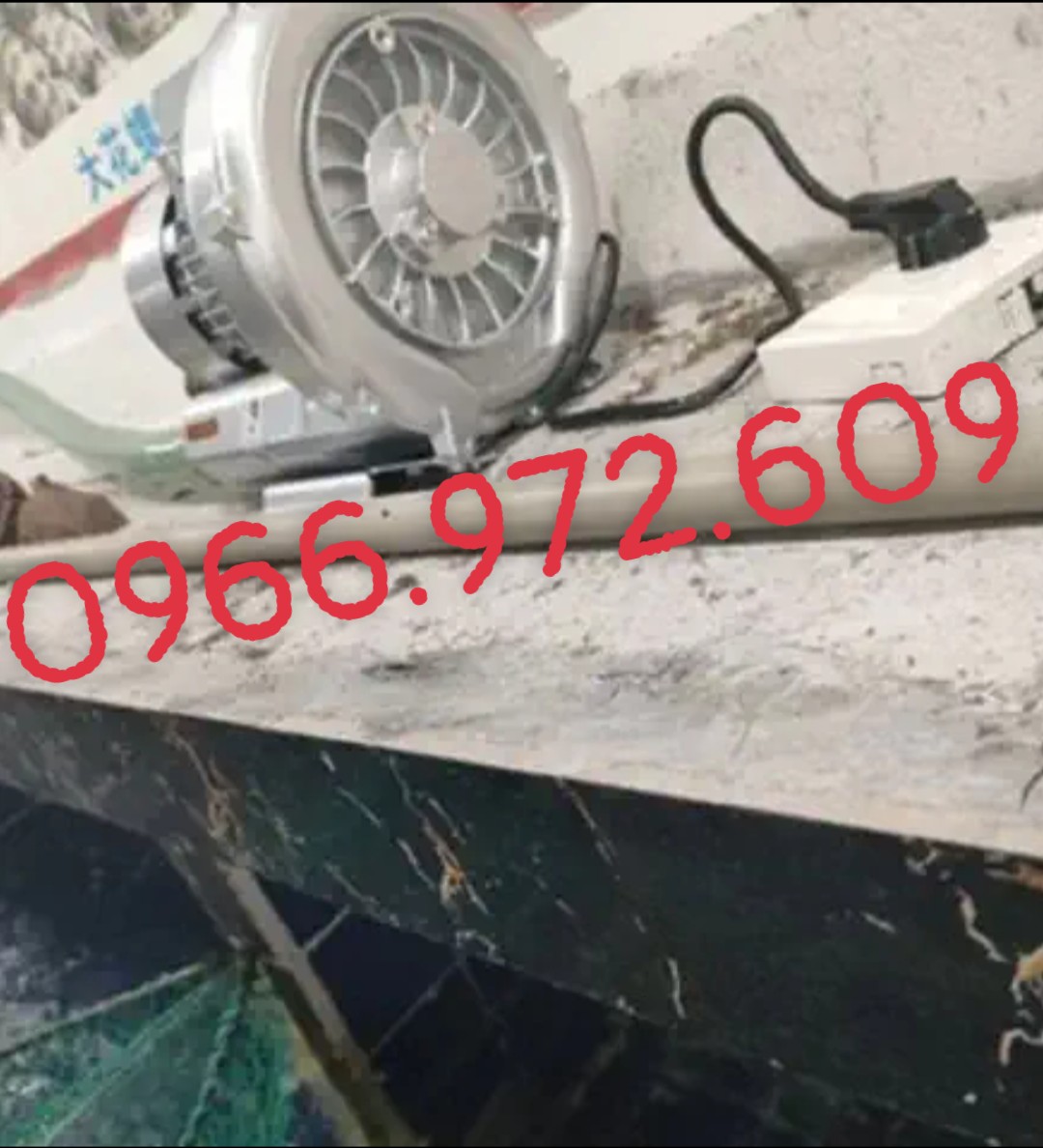 Máy con sò 250/750/1100w nội địa trung,sủi khí đáy ao tôm cá,hút chân không,bảo hành 12 tháng
