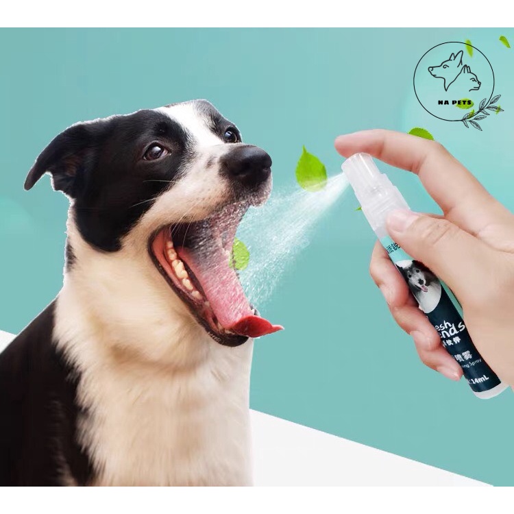 Nước Xịt Thơm Miệng Diệt Khuẩn Khử Mùi Hôi Miệng Cho Chó Mèo Fresh Friend 14ml