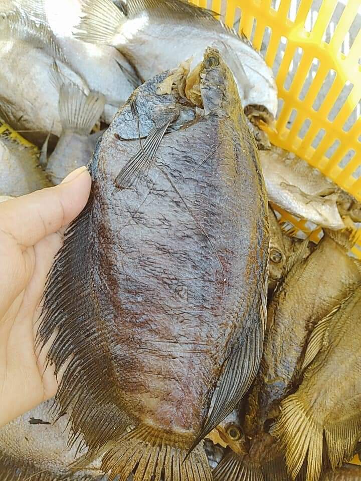 1kg khô cá sặc bổi, lò tho, sặc rằn vừa ăn, size cá 14-16 con 1kg khô ngon chắc thịt, hút chân không, vừa ăn, khô thoại sơn