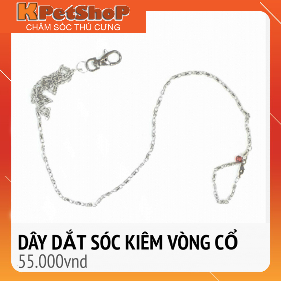 Dây xích cho sóc đất - sóc bông và thú cưng nhỏ dưới 0.5kg...(xích+vòng cổ)
