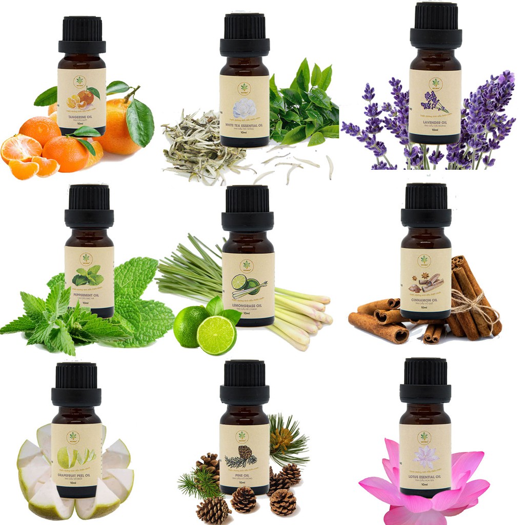 tinh dầu thơm xe oto nhập khẩu 30ml USAL T thơm mủi hoa quả nhiệt đới 30% và 50%