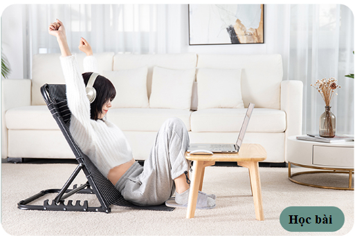 Ghế bệt tựa lưng thư giãn AC1244