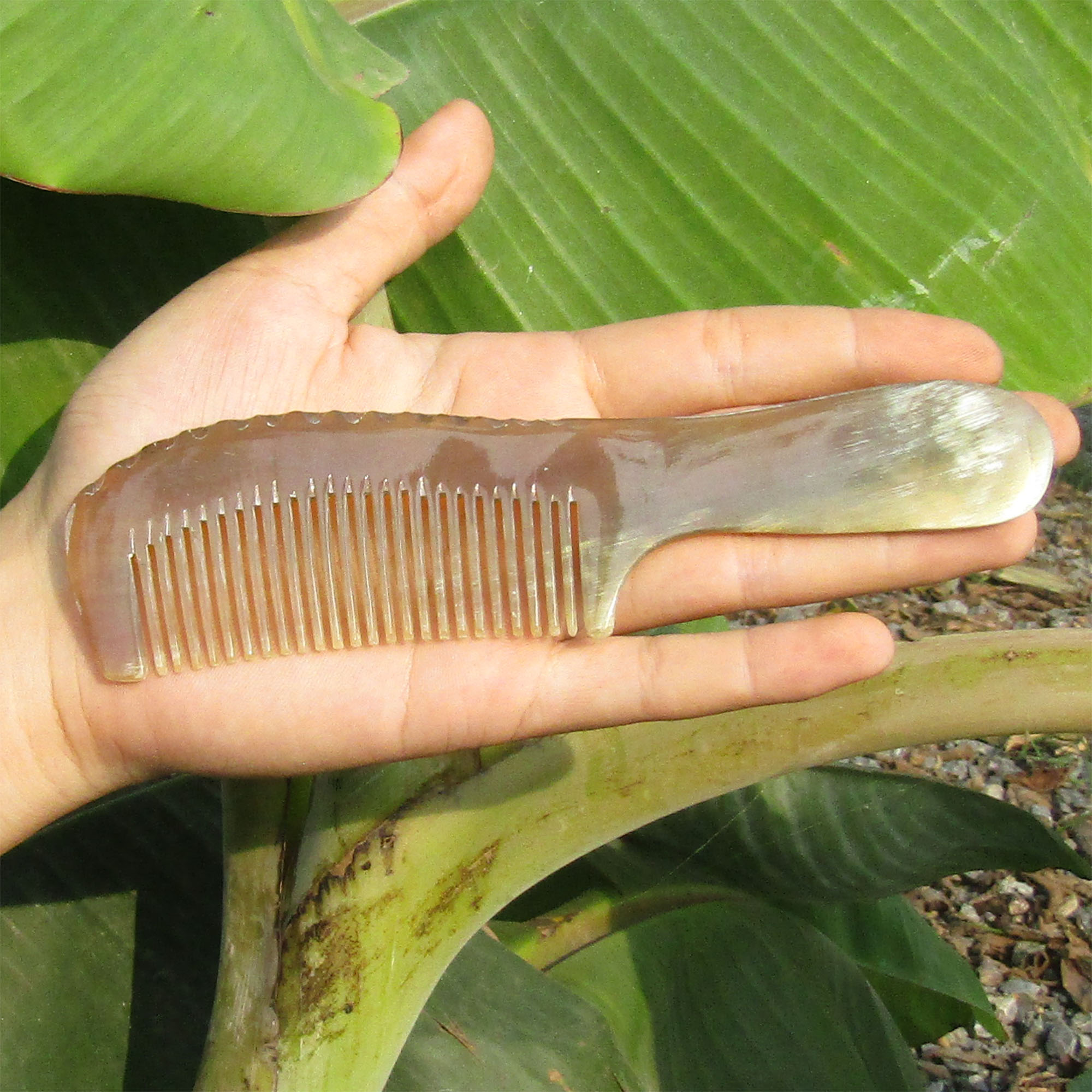 Lược Sừng Bỏ Túi xuất Nhật Cỡ M