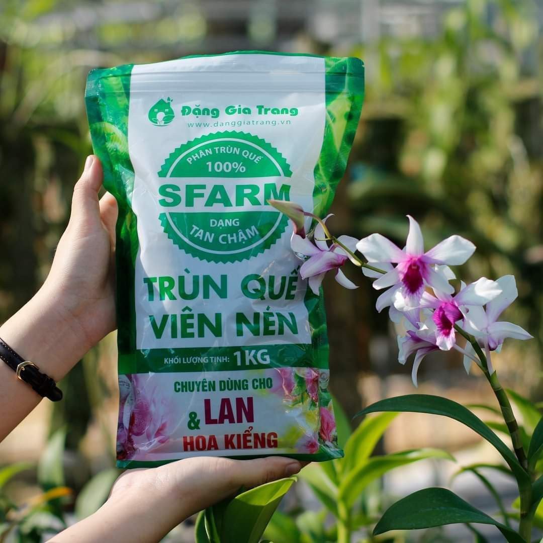 Phân trùn quế dạng VIÊN Sfarm Đặng Gia Trang dành cho hoa lan cây cảnh