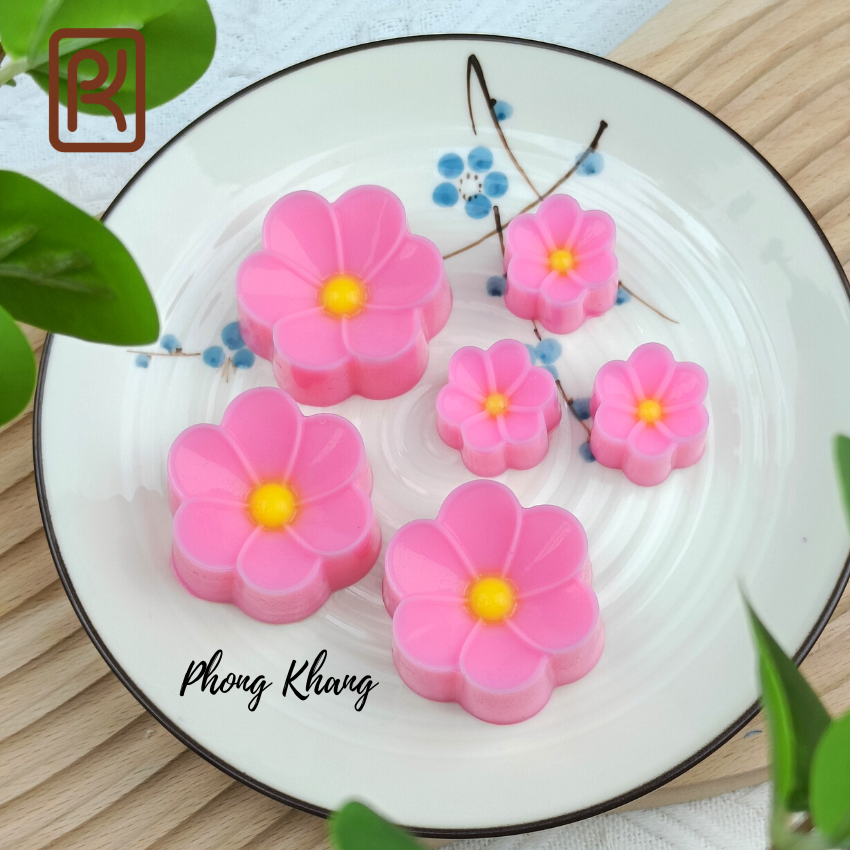 Combo 12 khuôn silicon Phong Khang hình hoa sứ
