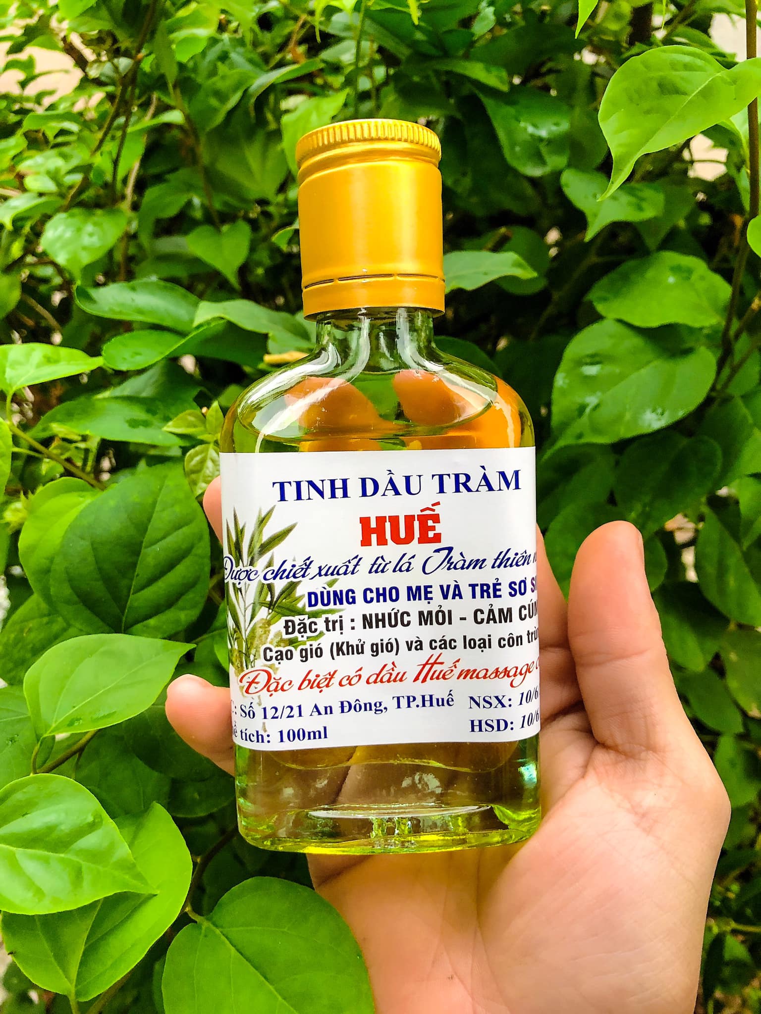 Tinh dầu tràm Huế nguyên chất 100 ml