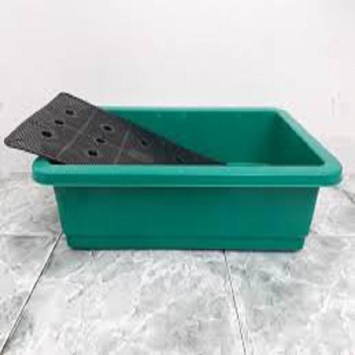 Combo 10 chậu nhựa trồng rau màu xanh dài 65cm rộng 42cm cao 17cm
