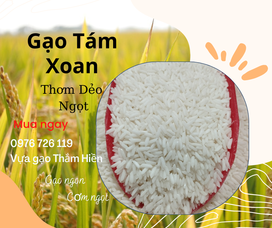 5KG Gạo Tám Xoan - Gạo Thơm Dẻo Ngọt - Gạo Dẻo Vừa, thơm cơm - Bena Organic