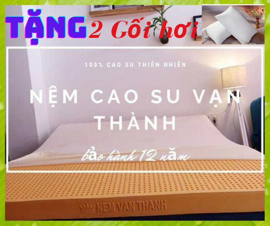 [HCM]Nệm 1m6 x 2m x 15cm Cao Su Thiên Nhiên Vạn ThànhTẶNG kèm 2 gối hơi