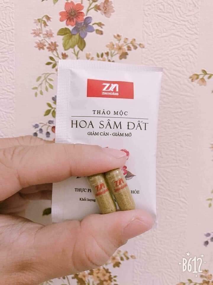 Trà giảm cân Hoa Sâm Đất Zn mẫu mới date mới (20 Gói x 02 viên) Hỗ trợ giảm mỡ máu, giảm béo phì 3