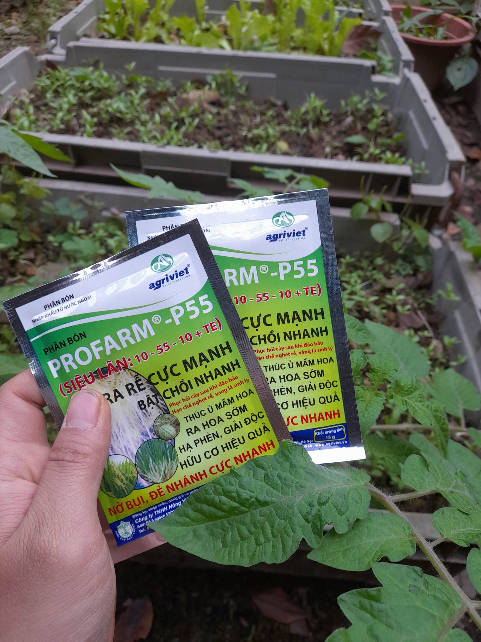 Phân bón profarm kích thích cây tạo rễ