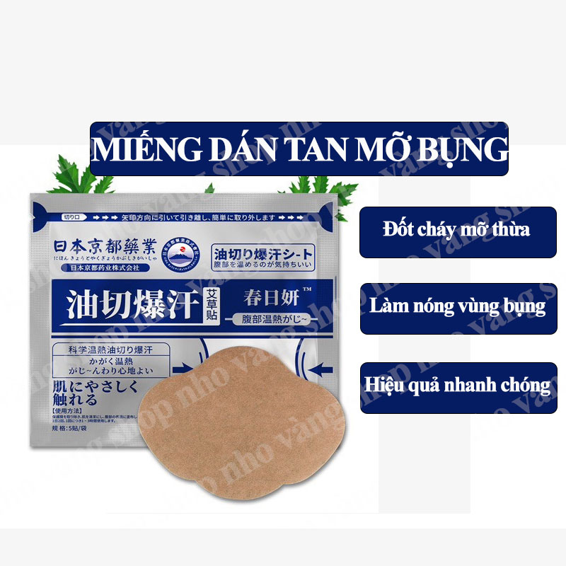 Gói 5 miếng dán tan mỡ bụng thảo dược đốt cháy mỡ thừa