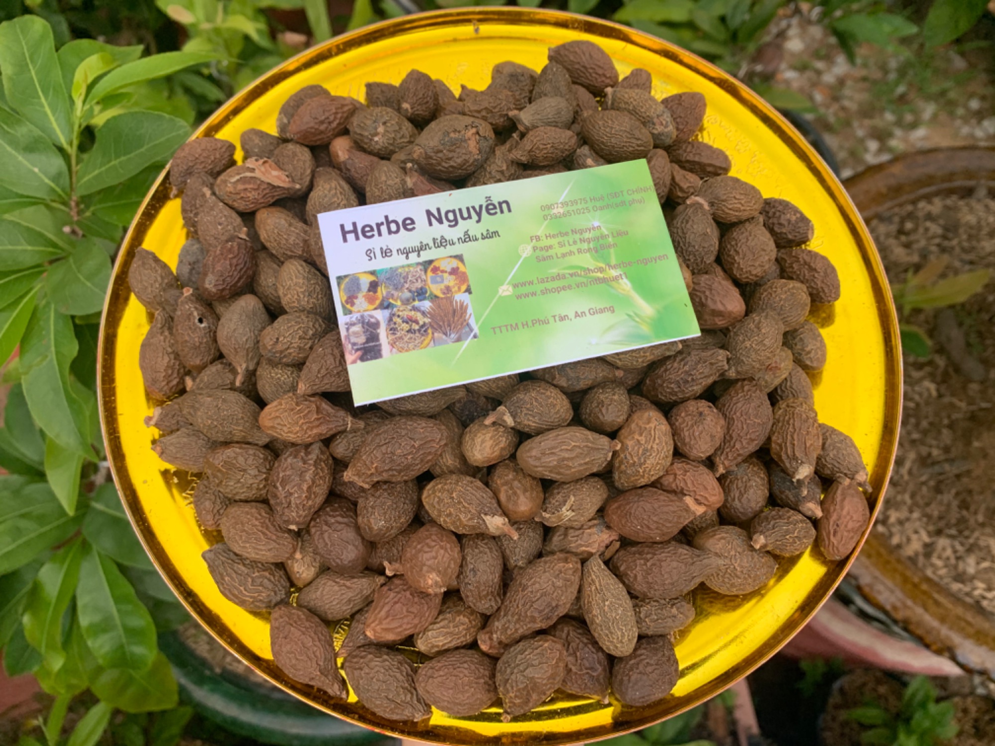 Hạt đười ươi- 100g