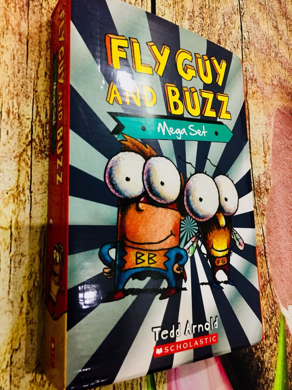 Fly guy
