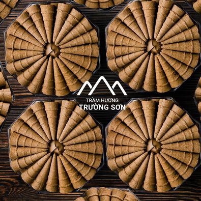 Nụ trầm hương Trường Sơn