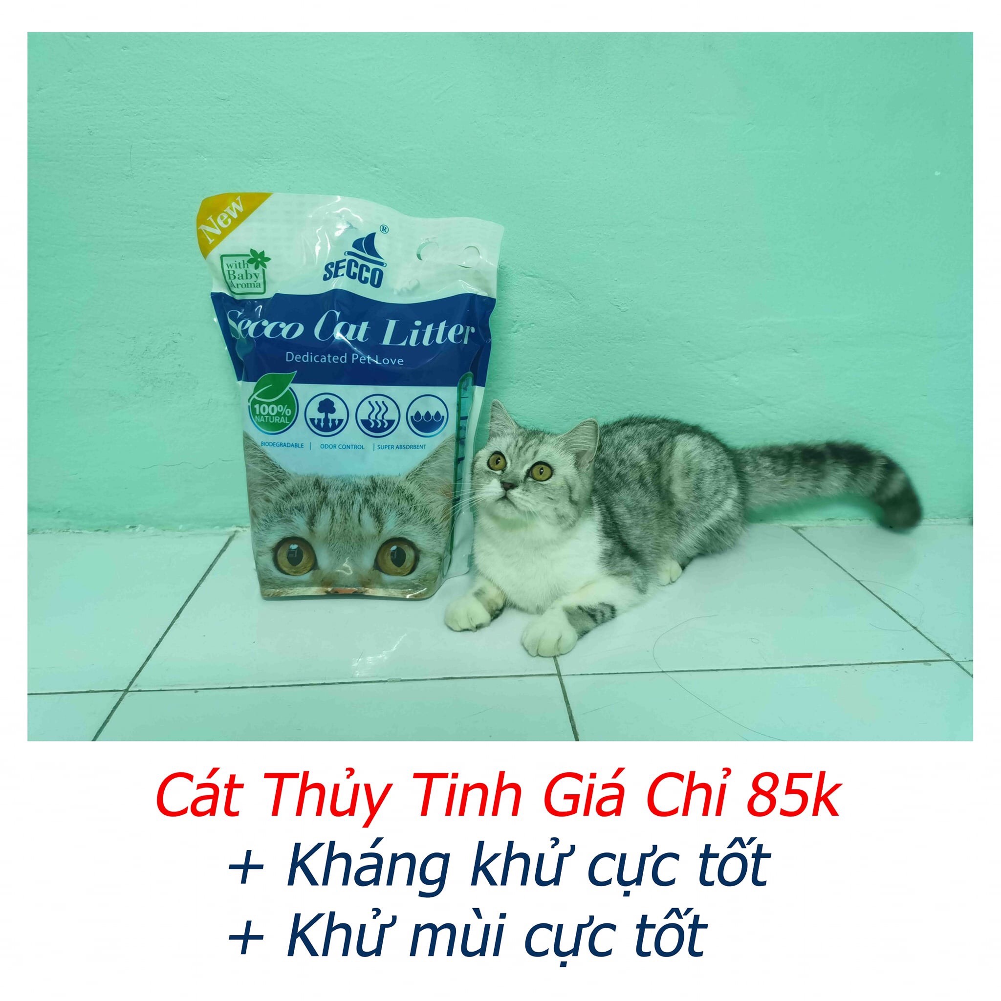 Cát Vệ Sinh Thủy Tinh Cho Mèo 5L Gía Rẻ - Tiết Kiệm