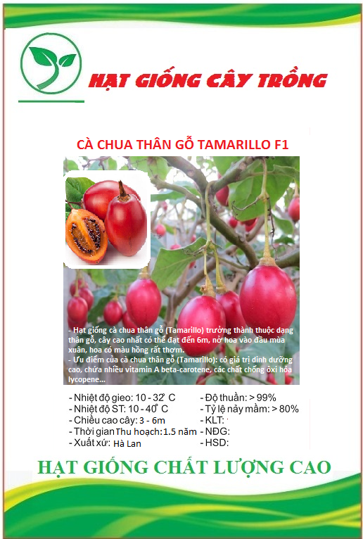 Hạt giống cà chua thân gỗ Tamarillo quả đỏ CT286 - Gói 10 hạt
