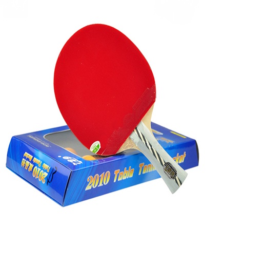 Vợt bóng bàn 729-2010