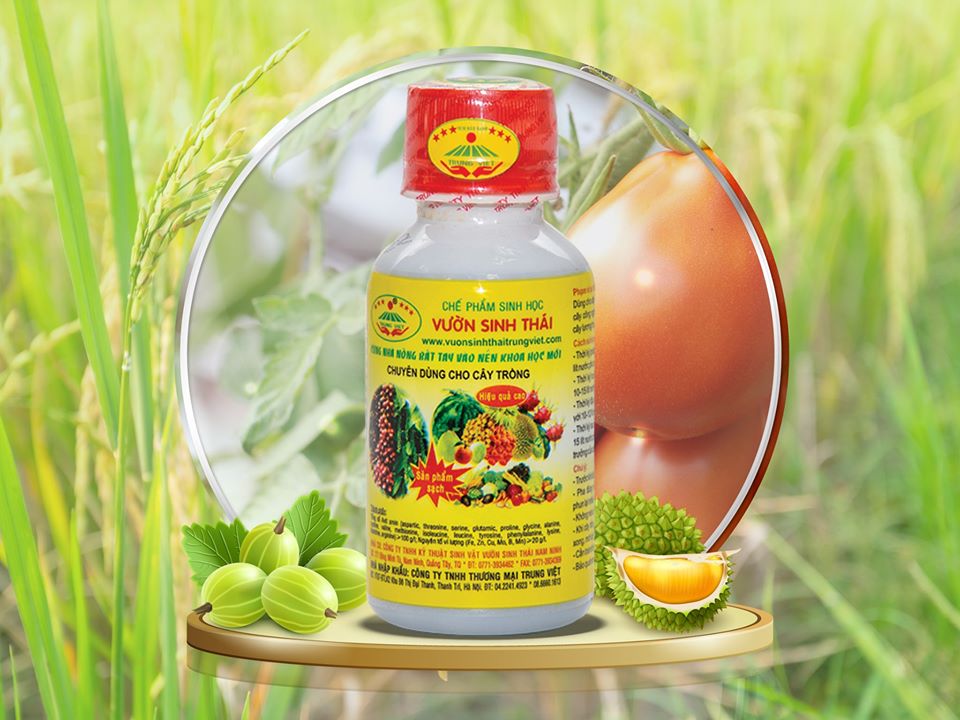 Vườn sinh thái cây trồng