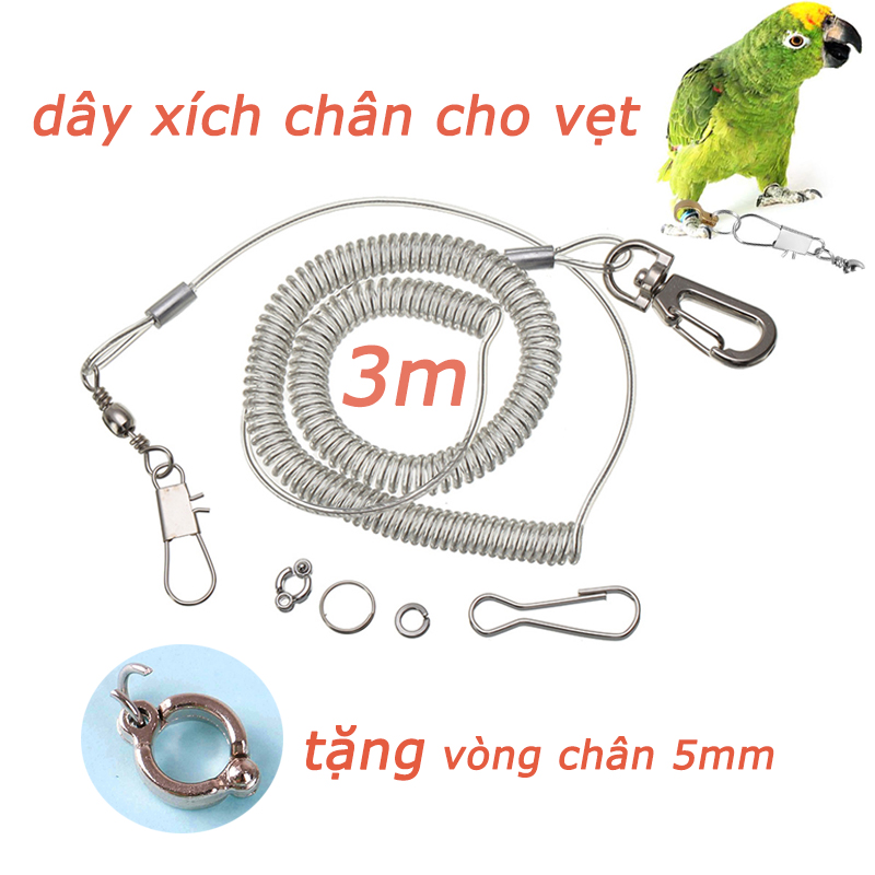 Dây xích chân cho vẹt 3m,tặng 1 vòng đeo chân 5mm đóng mở cho vẹt lợn và nhỏ （nhẫn đeo chân cho vẹt）giá sỉ