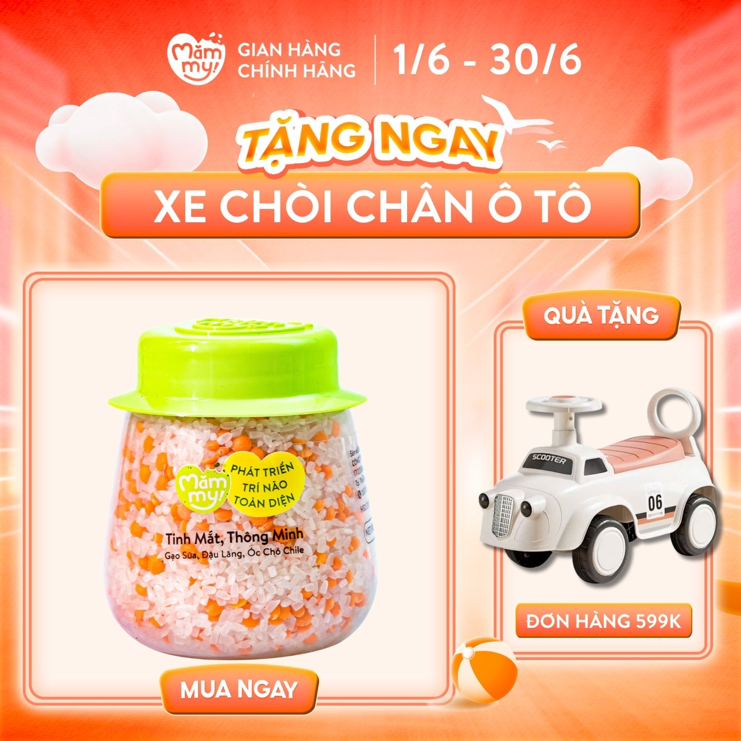 Hạt mix Mămmy cho bé ăn dặm tinh mắt thông minh trên 6 tháng gạo sữa, đậu lăng và óc chó chile, hũ 135g