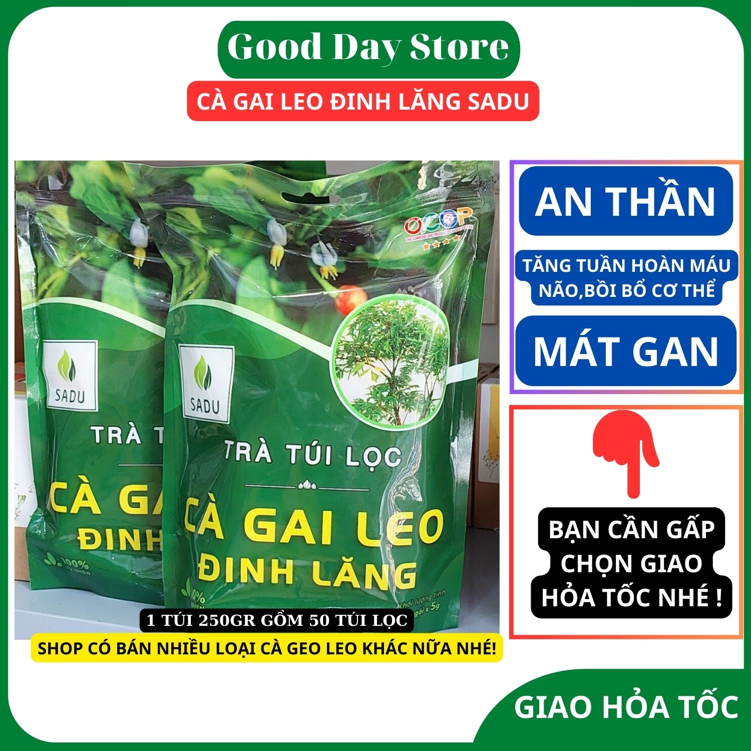 Trà cà gai leo Đinh Lăng túi lọc sadu 250 gram giúp mát gan, thanh lọc thải độc ngủ ngon sâu giấc