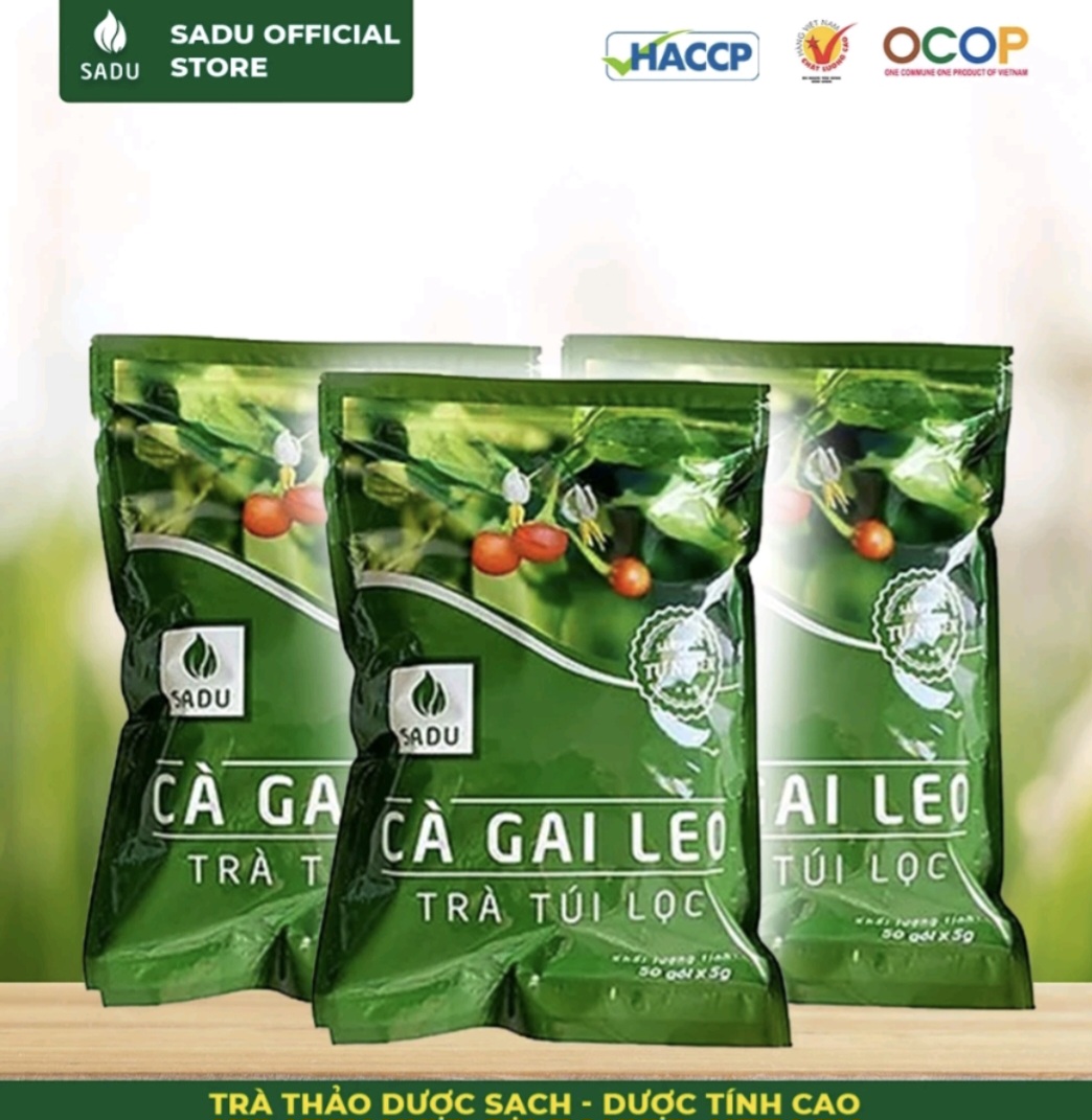 Combo 3 Bịch Trà  Túi Lọc Cà Gai Leo Sadu 250g ( gồm 150 túi lọc ) mát gan-thải độc gan-thanh lọc cơ thể