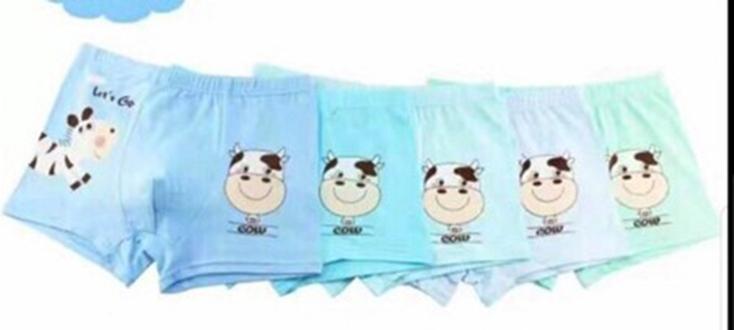 Combo 5 quần chip bé trai cotton cao cấp 17 đến 25kg