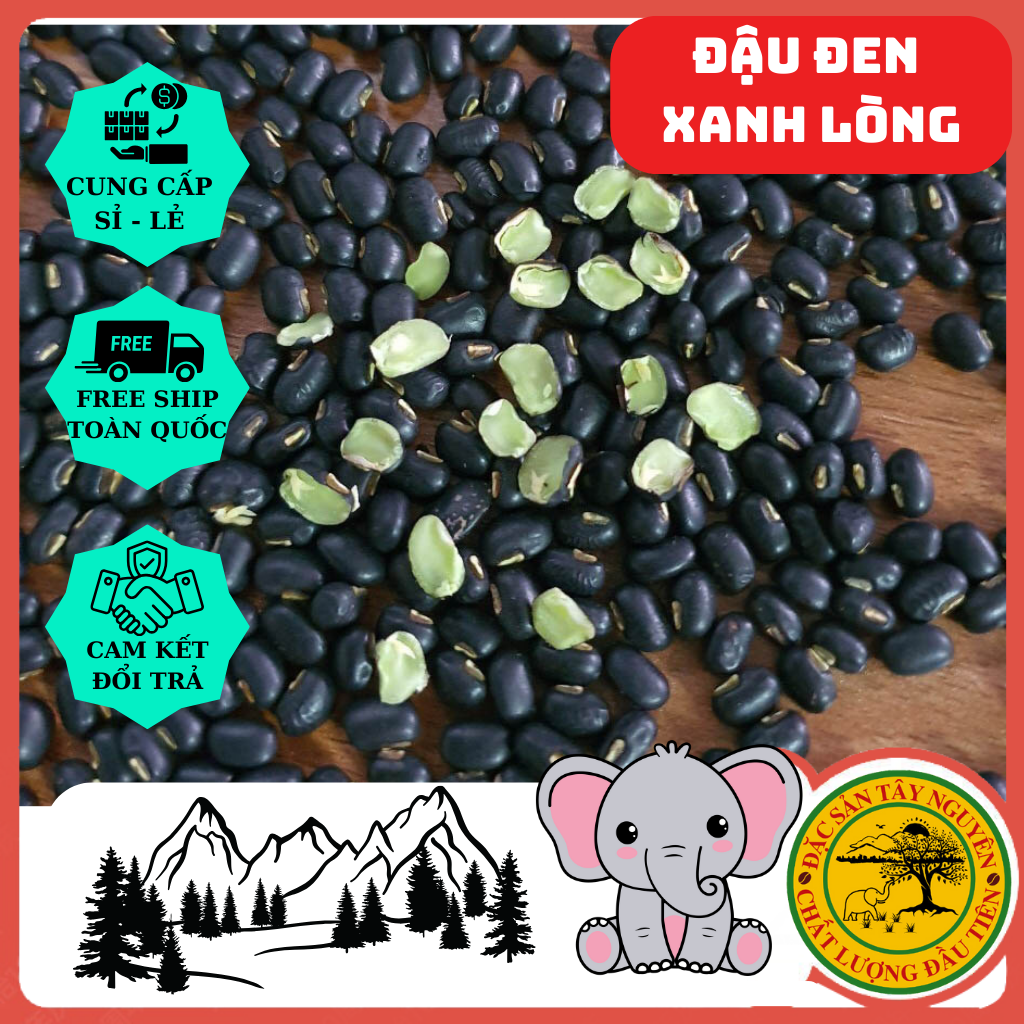 Đậu đen xanh lòng - hạt đậu to đẹp, vụ mới || đặc sản tây nguyên 48 đăk nông