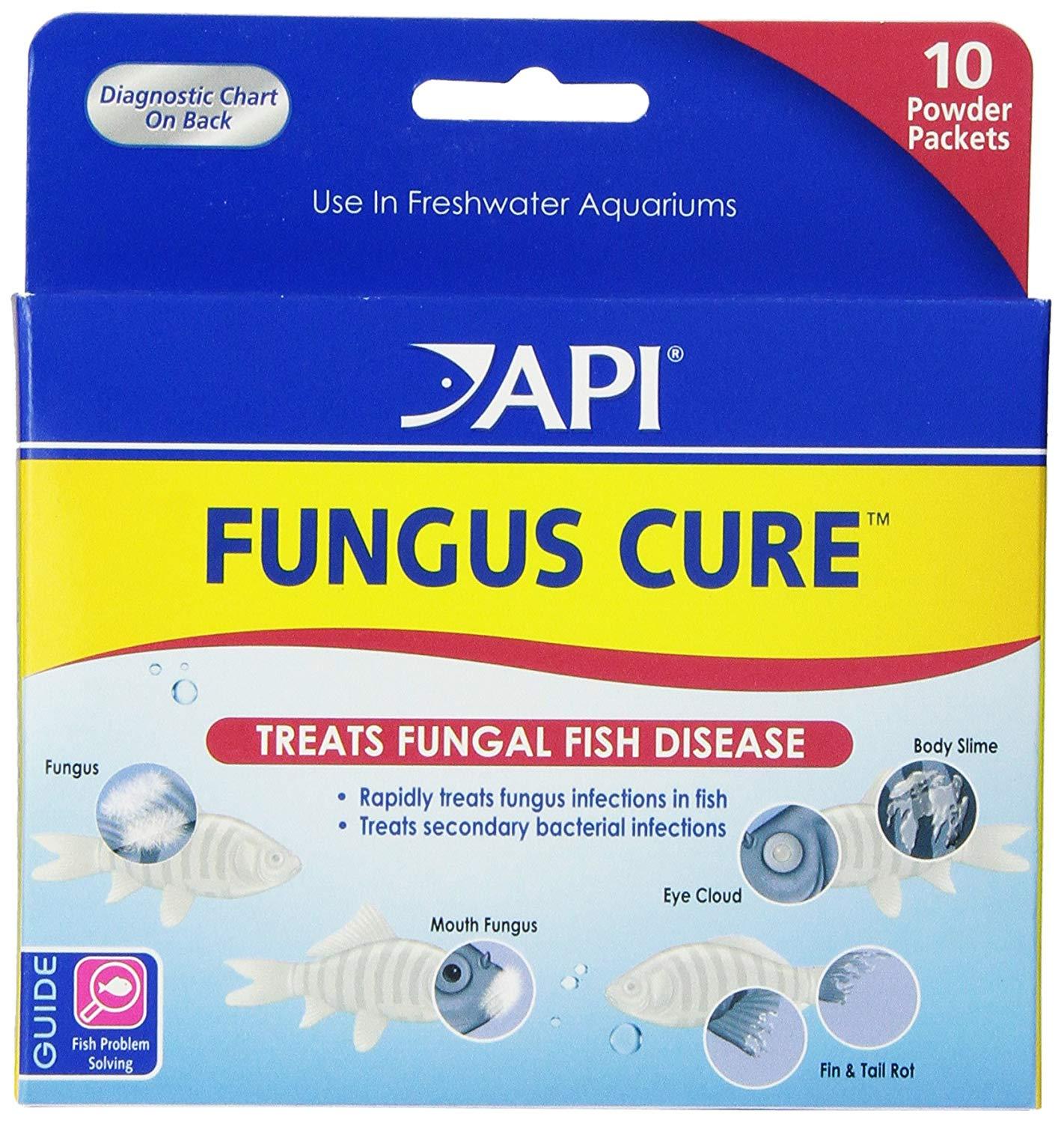 Bột API Fungus Cure có tác dụng nấm hiệu quả cho cá cảnh bị Nấm miệng (Cotton Mouth Disease), Body Slime &amp; Eye cloud - nấm thân, cá mờ mất, và nhiễm trùng Fin &amp; Tail Rot làm thối vây, mục đuôi cá cảnh