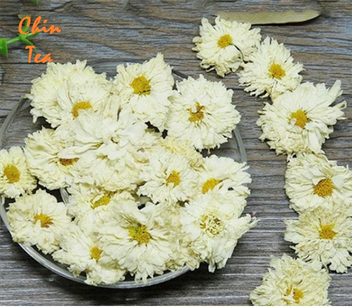 Trà hoa cúc trắng - bạch cúc