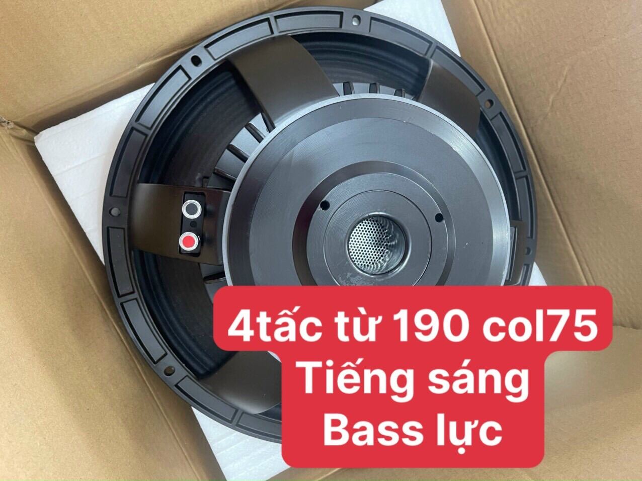 Bass 40 từ 190 coil 75