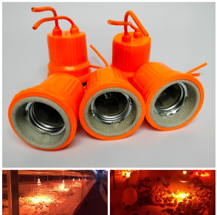 Combo 5 Đui sứ bọc nhựa cao cấp, chịu nhiệt cho đèn hồng ngoại, đèn trang trí, đèn ngủ