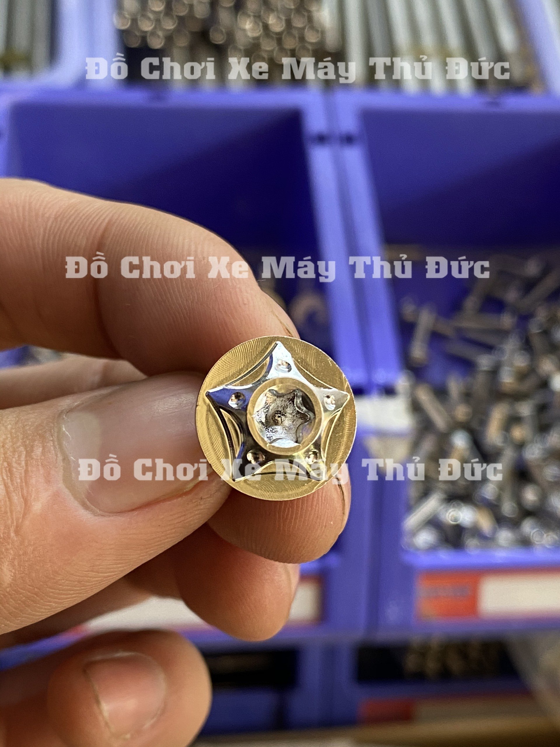 Ốc salaya 6li*10 gắn dàn áo, che sên