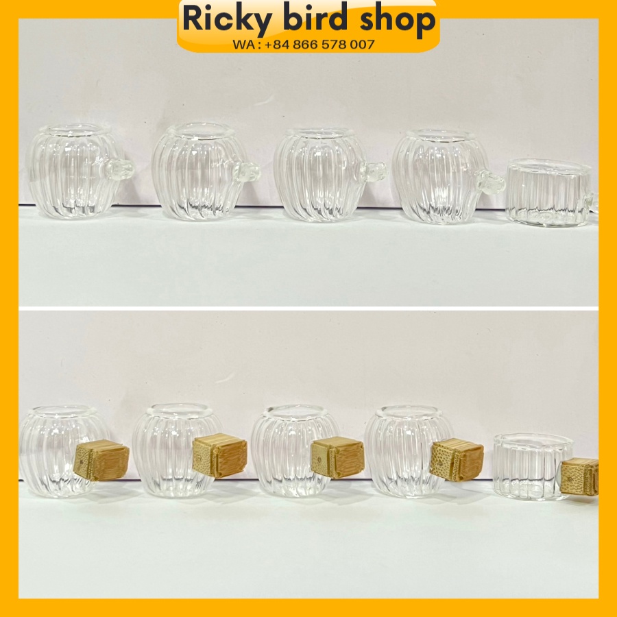 Cóng chòe đất đẹp Ricky, cóng tàu thủy tinh bộ 5 chiếc kèm tai cóng tàu