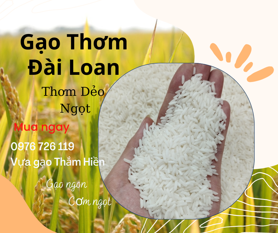 5kg gạo thơm đài loan - gạo thơm dẻo ngọt - gạo dẻo vừa - bena organic