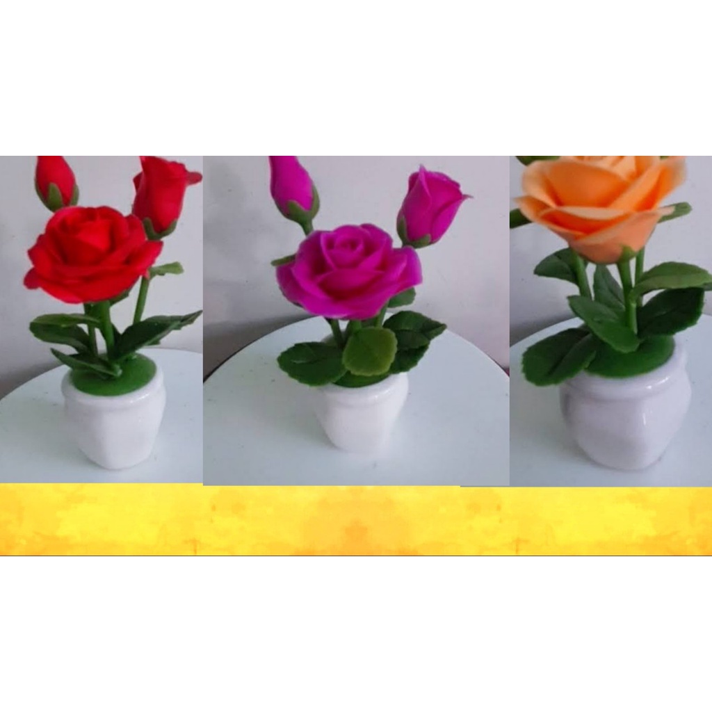 Hồng mini dể thương