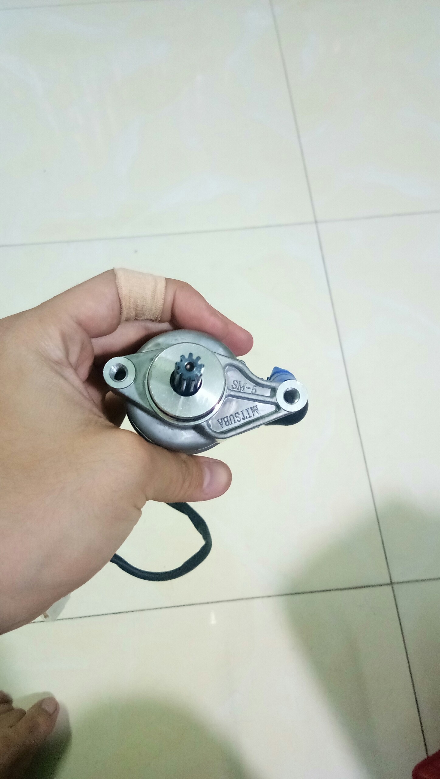 Củ đề Sirius Hàng tốt