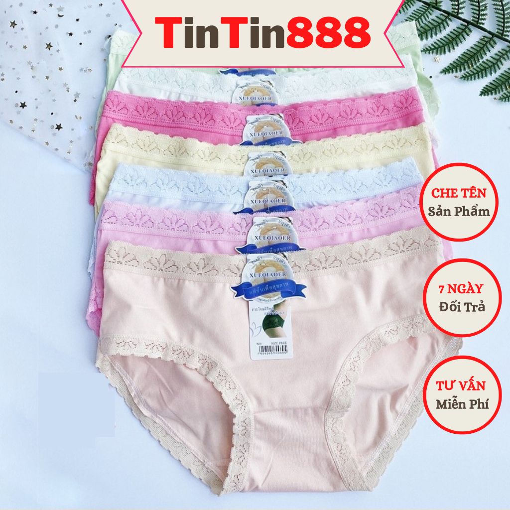 Bộ 5 Quần lót nữ thun lạnh phối ren kháng khuẩn mát lạnh co dãn nhiều - Quần lót của nữ kháng khuẩn giá rẻ - Quần lót cotton Thái trơn - Quần chíp - TinTin888