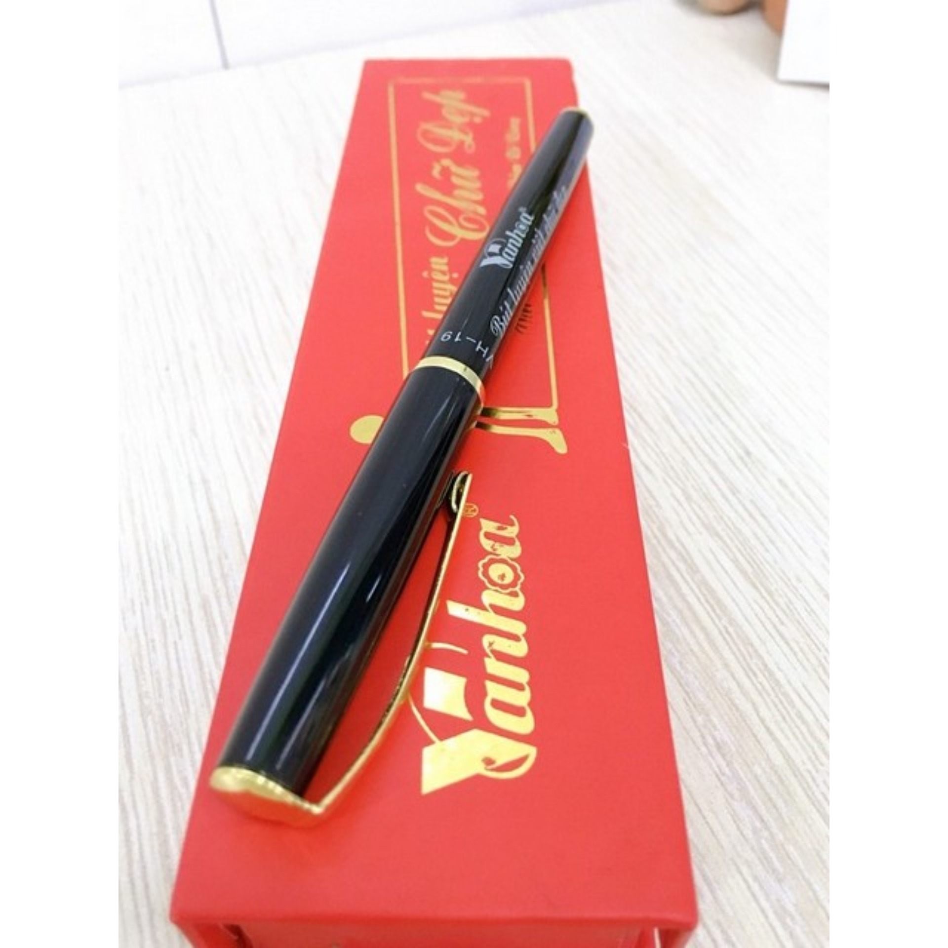 Bút máy luyện chữ đẹp ngòi 2 màu VH 19