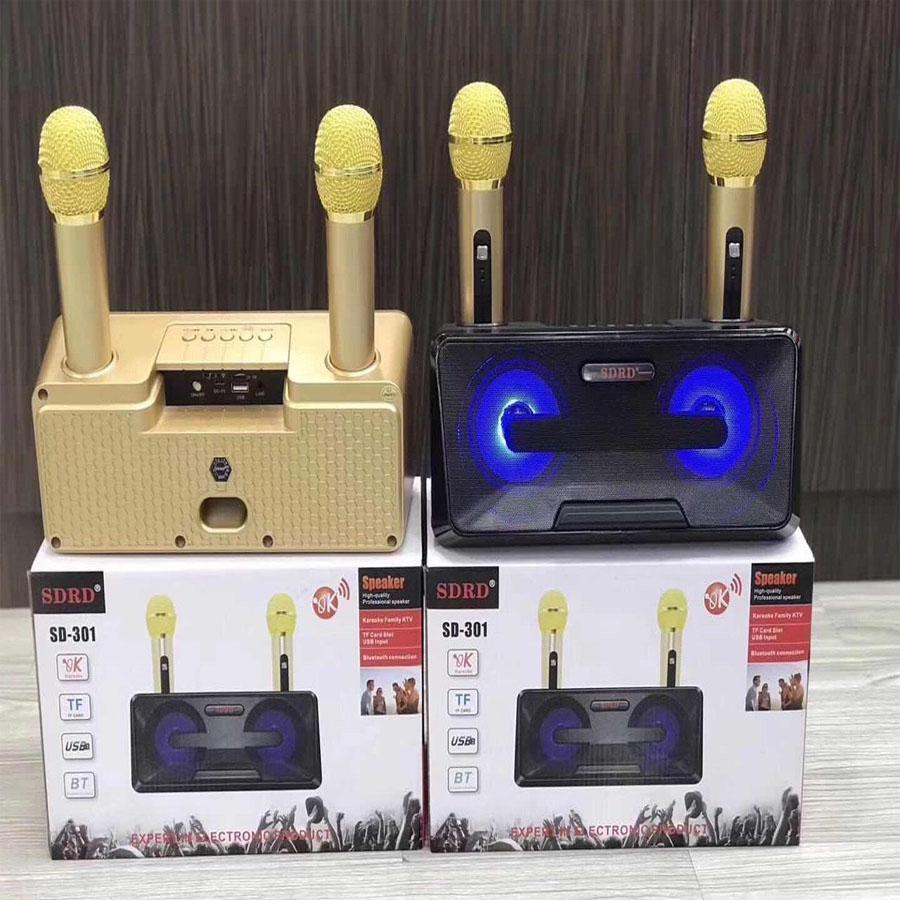 Loa karaoke di động sdrd 301 siêu đẹp siêu hay